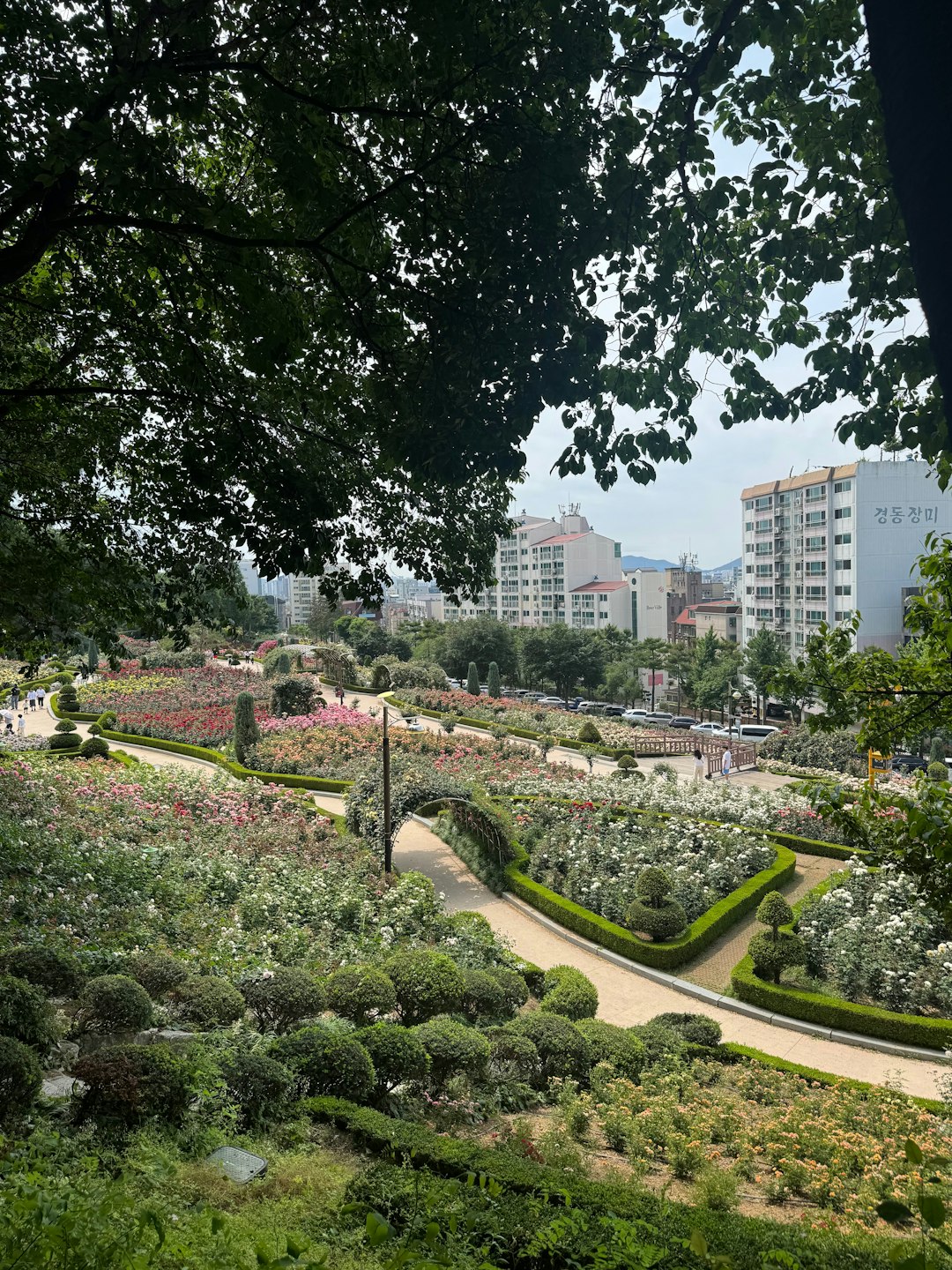 Warion Community Park