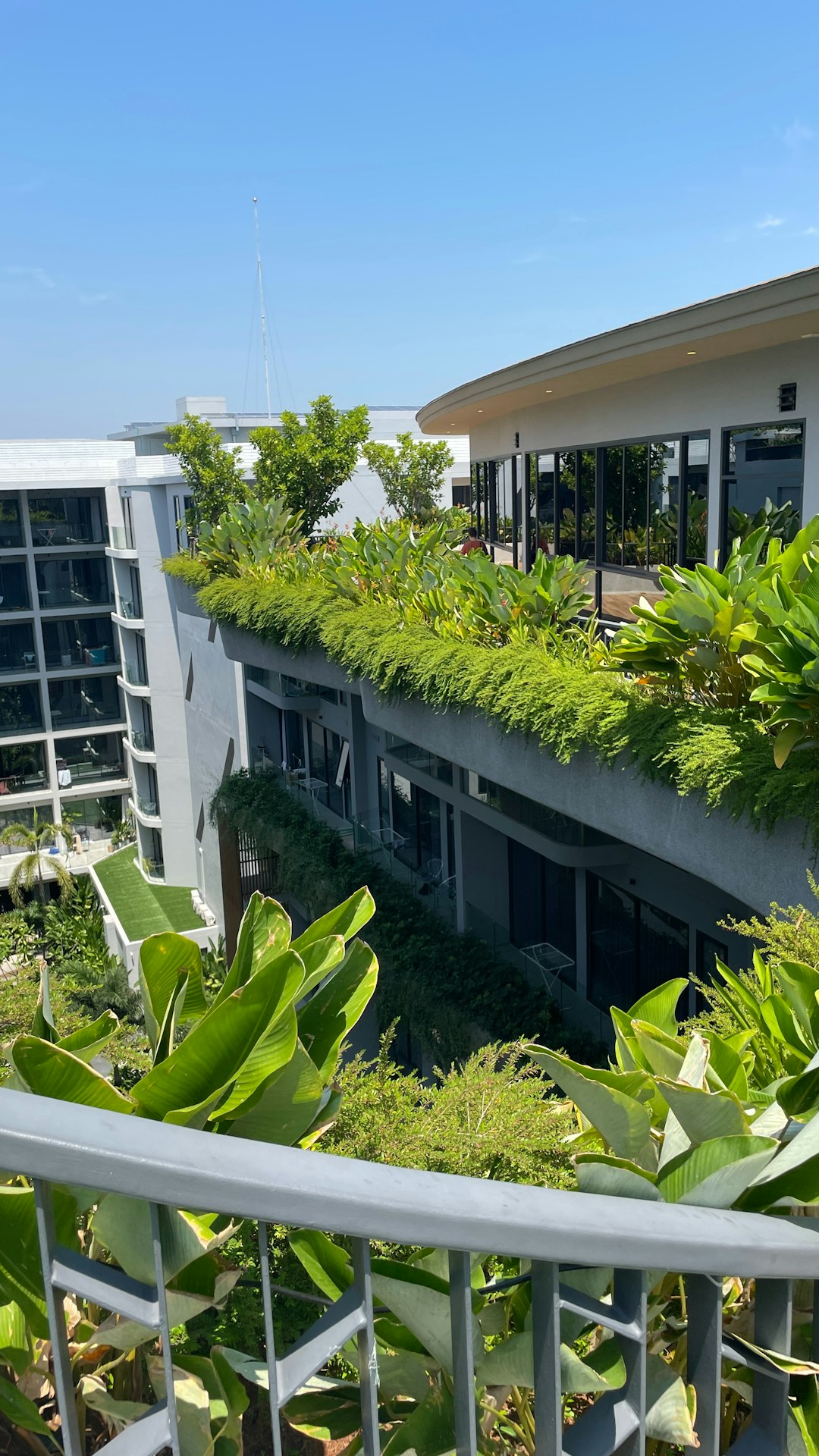 Rooftop Oasis Garden